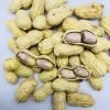 LongYan Wet-Roasted Red Skin Peanuts