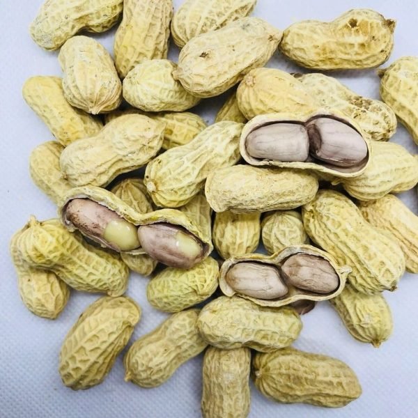 LongYan Wet-Roasted Red Skin Peanuts